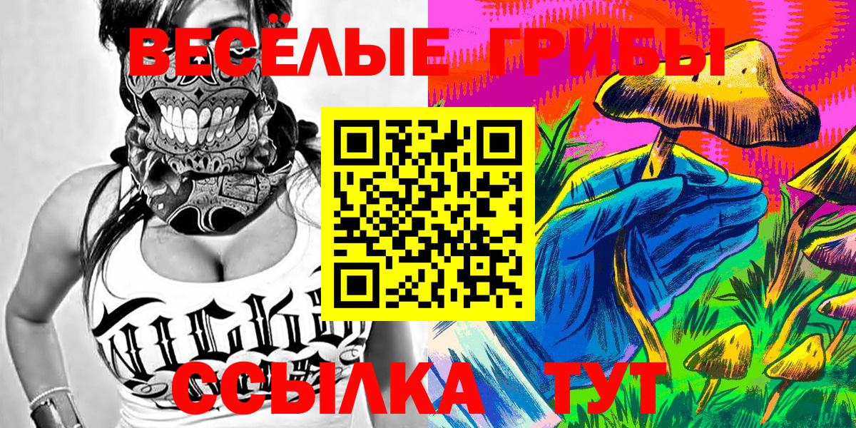 купить   Вход с VPN  Заринск  Псилоцибиновые грибы ЛСД  Галлюциногенные грибы Magic Shrooms 